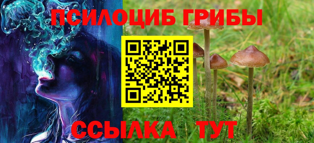 Ялта  купить   Галлюциногенные грибы MAGIC MUSHROOMS  Вход с VPN  Галлюциногенные грибы Magic Shrooms 